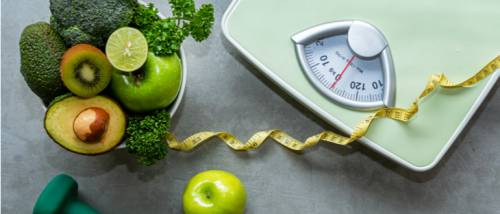 How does a Protein Diet help in the Weight Loss Journey?